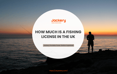 How Much Is a Fishing License in the UK?