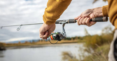 Bass Fishing 101: How to Catch Bass