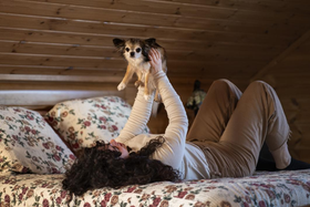 Cabin life with dog