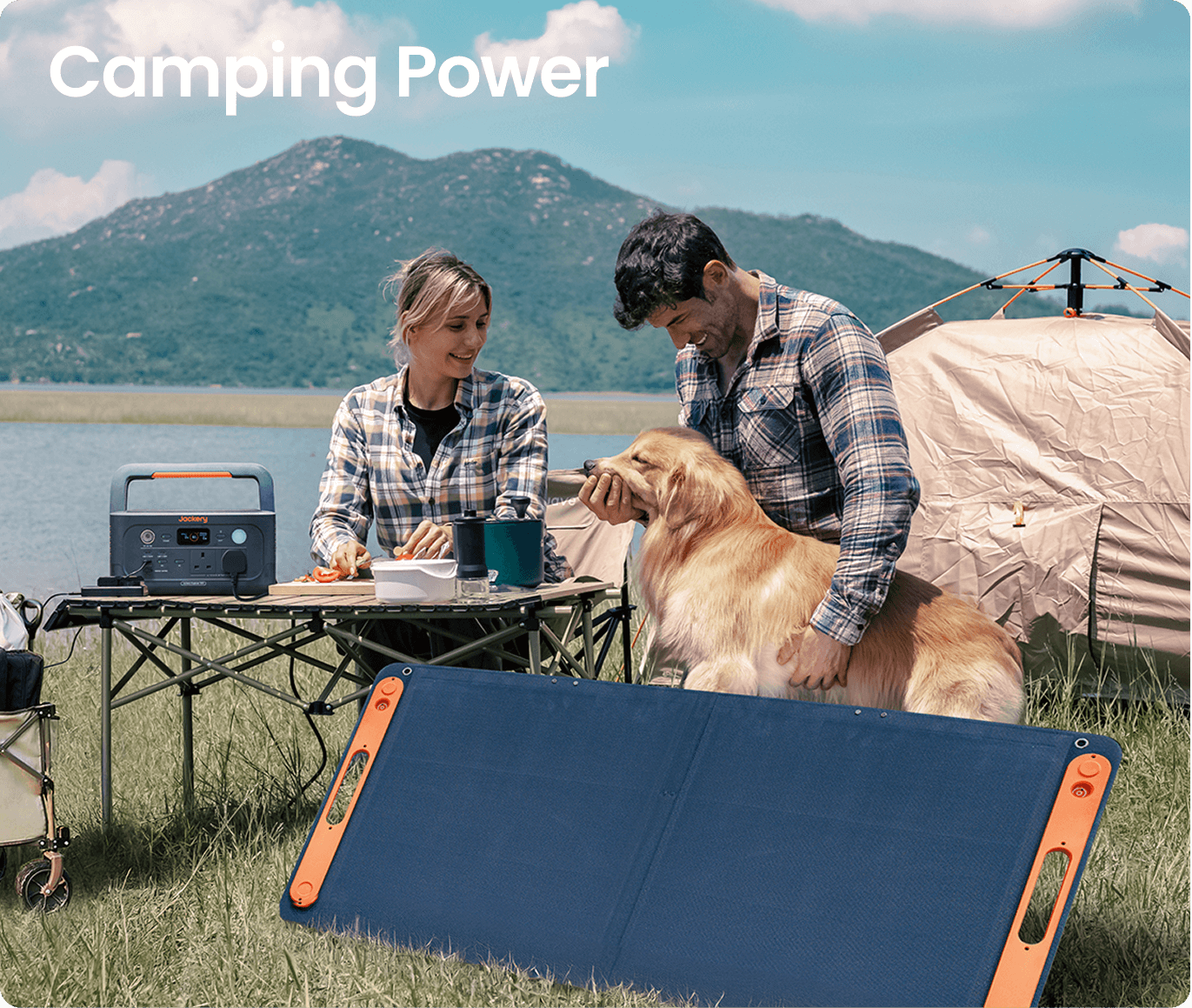 New Forest Camping: A Complete Guide to the Best Campsites