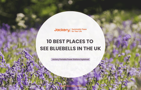 bluebell woods uk guide