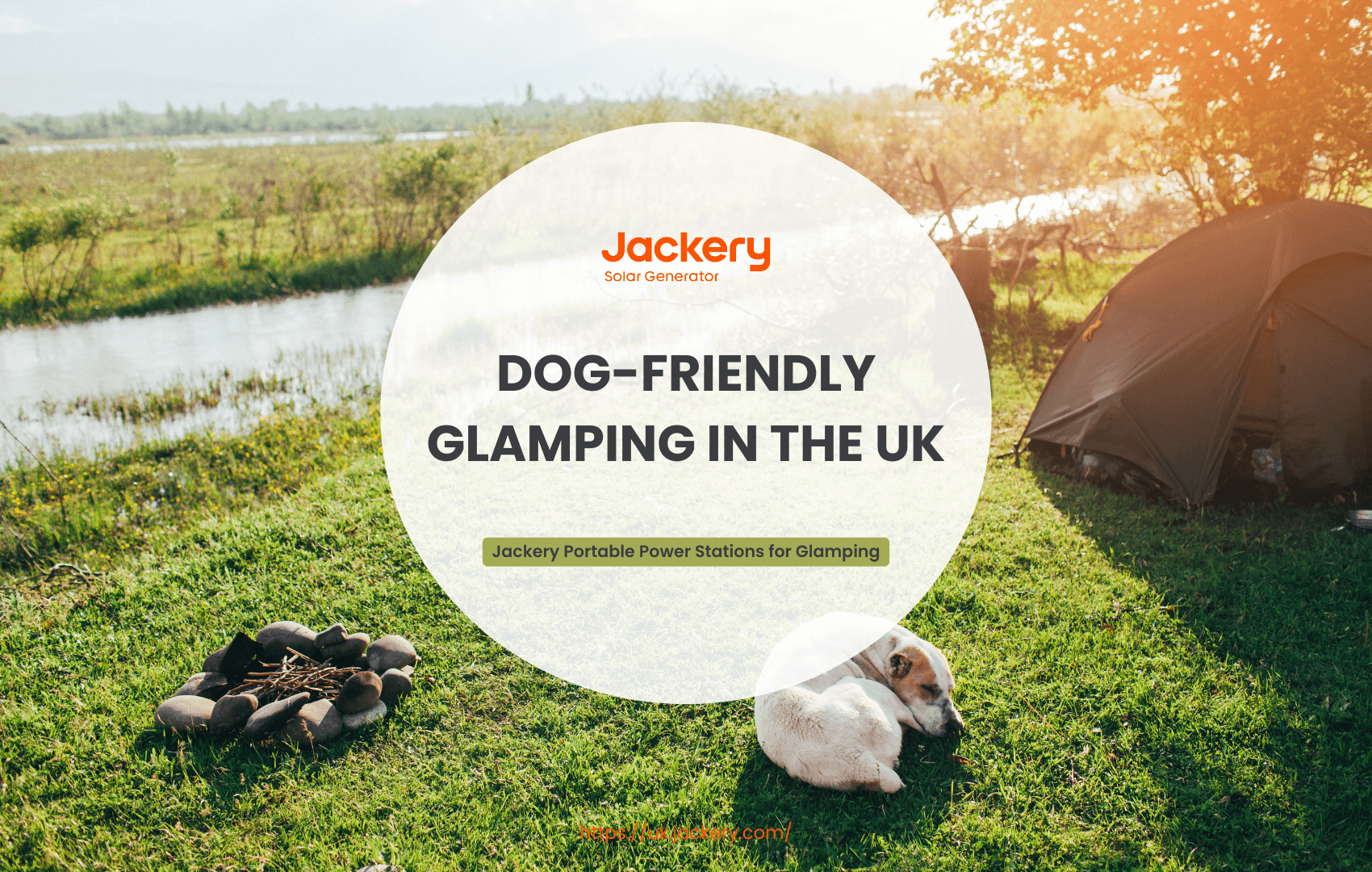 dog friendly glamping in the uk