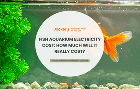 fish aquarium electricity cost guide