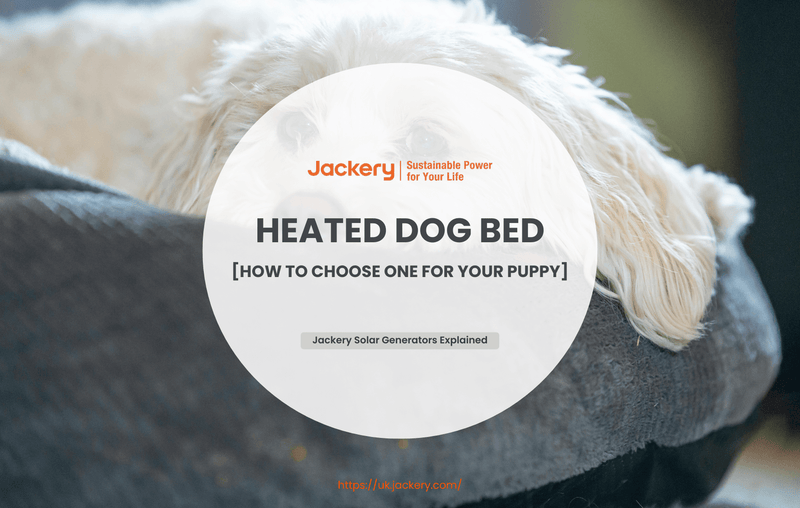 heated dog bed guide