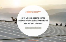 How Much Does It Cost to Pigeon-Proof Solar Panels