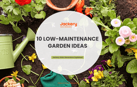 10 Low Maintenance Garden Ideas