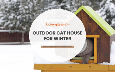 outdoor cat houses for winter guide