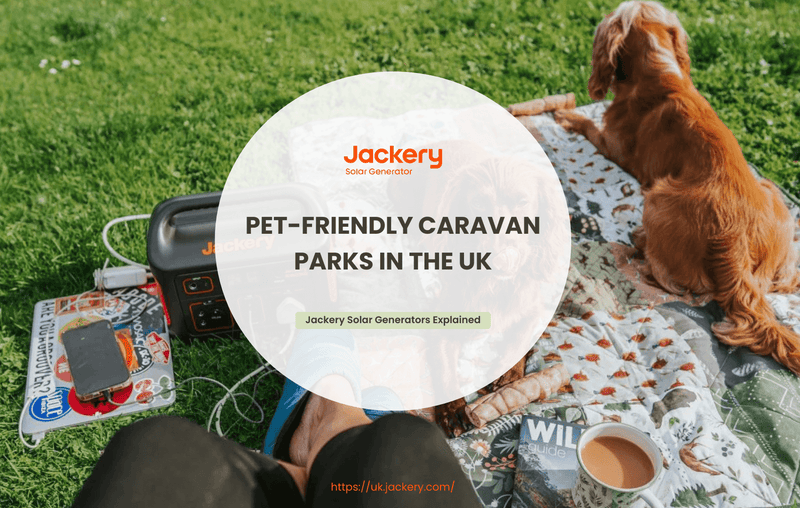 pet-friendly caravan parks in uk guide