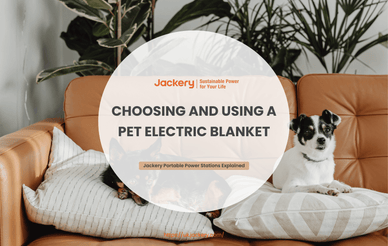pet electric blanket guide