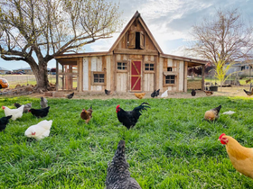 solar-powered chicken coop