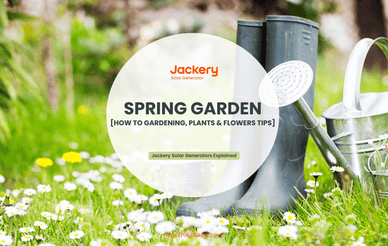 spring garden guide