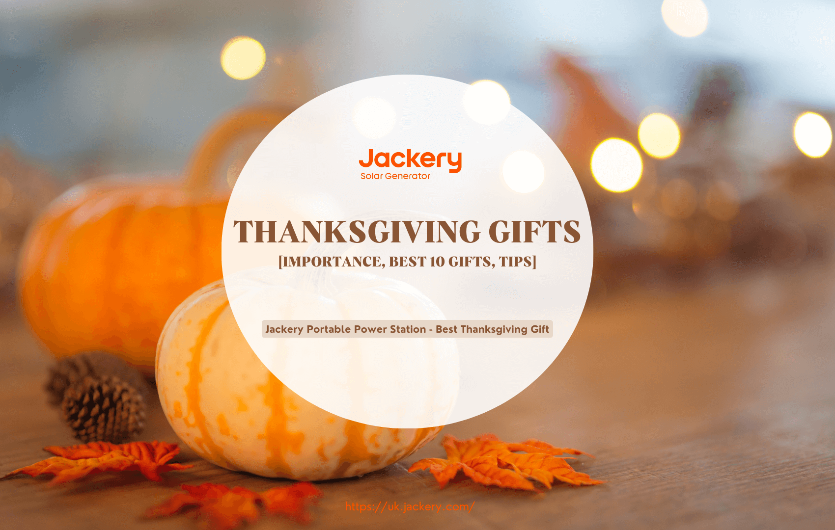 Thanksgiving Gifts Guide 2024: Best 10 Gifts That Everyone Love