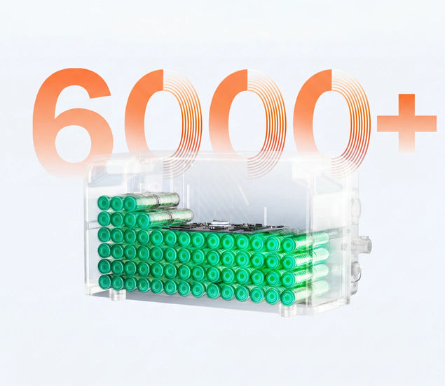 <p>Long-Life LFP Battery</p>