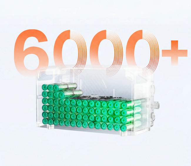 Long-Life LFP Battery