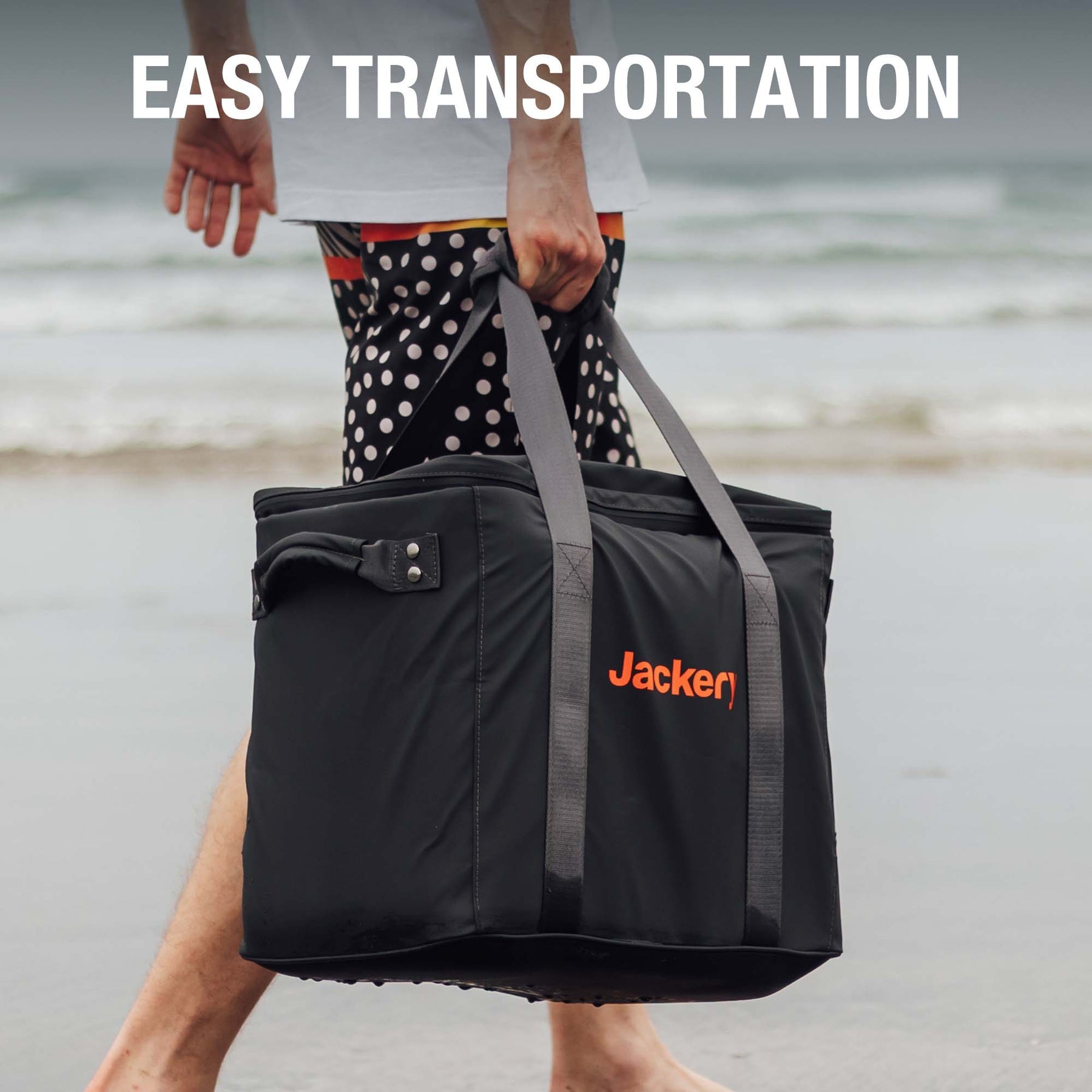 Jackery Carrying Case Bag for Explorer 2000 v2/1000 Plus (L)