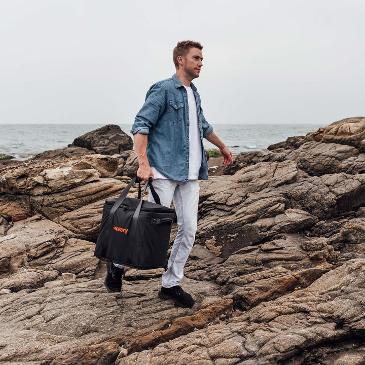 Jackery Carrying Case Bag for Explorer 2000 v2/1000 Plus (L)